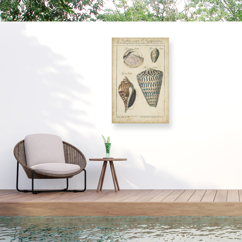 Toile d'extérieur Astor Martini «Vintage Shell Study II», H 19 po x l 12 po x P 1,5 po