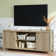 Nicolee 59'' Media Console for TVs up to 65"