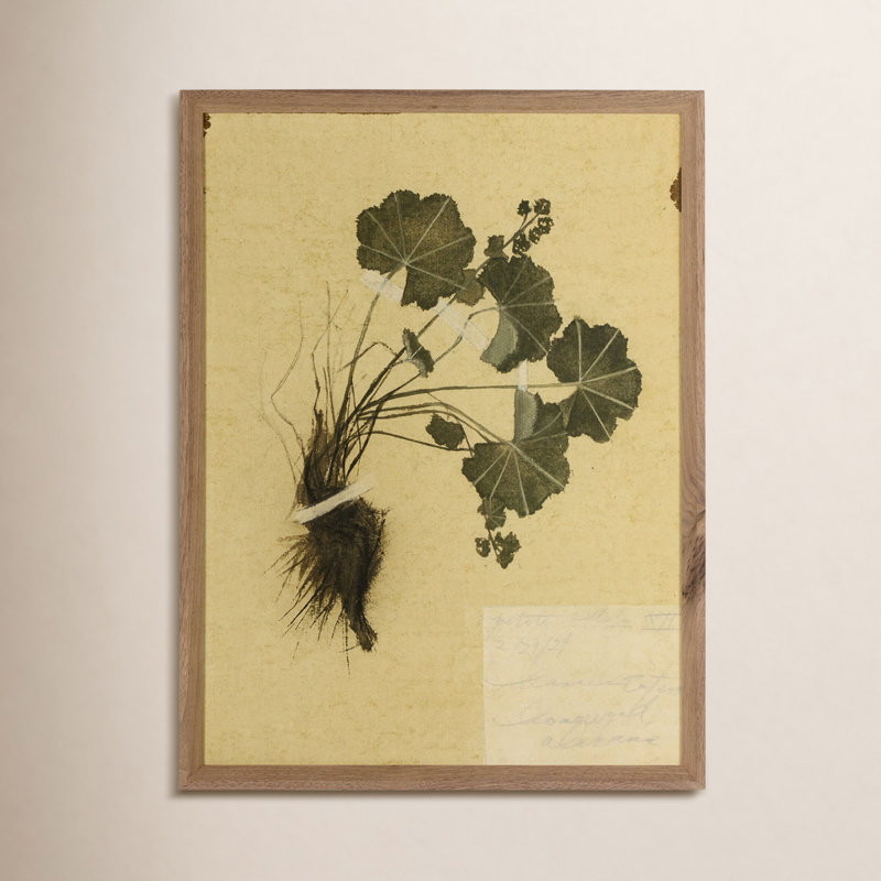 Petite Study No. VII By Hannah Winters, 24" H x 18" W