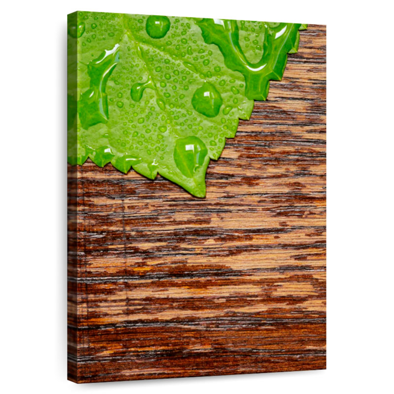 Dewy Hydrangea Leaf, 12" H x 8" W