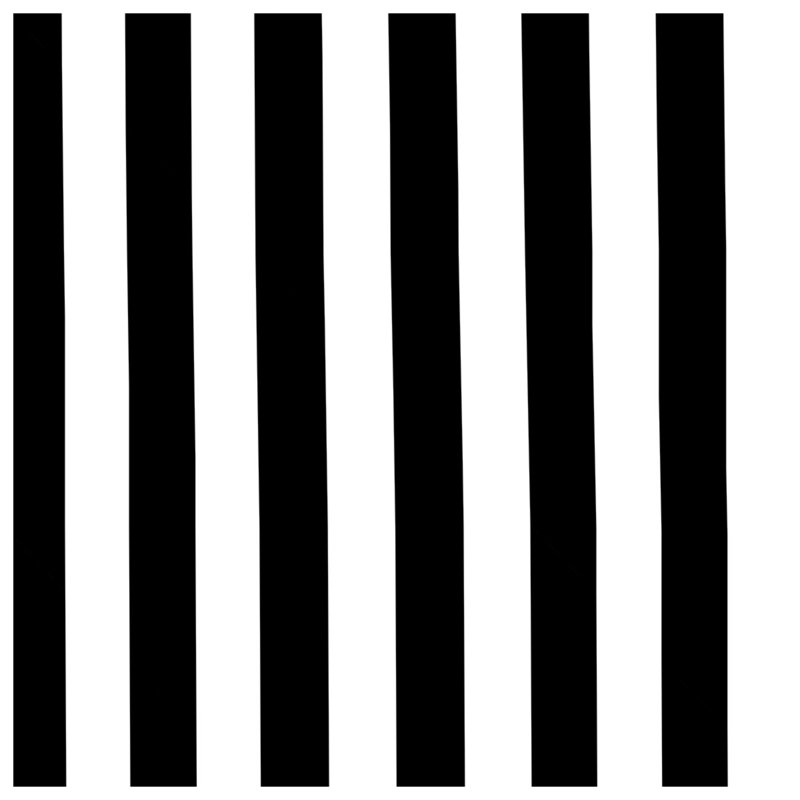 Black White Stripes Blankets, 50in W x 60in H
