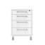 48.2 cm W Chest of 4 Drawers-274349131