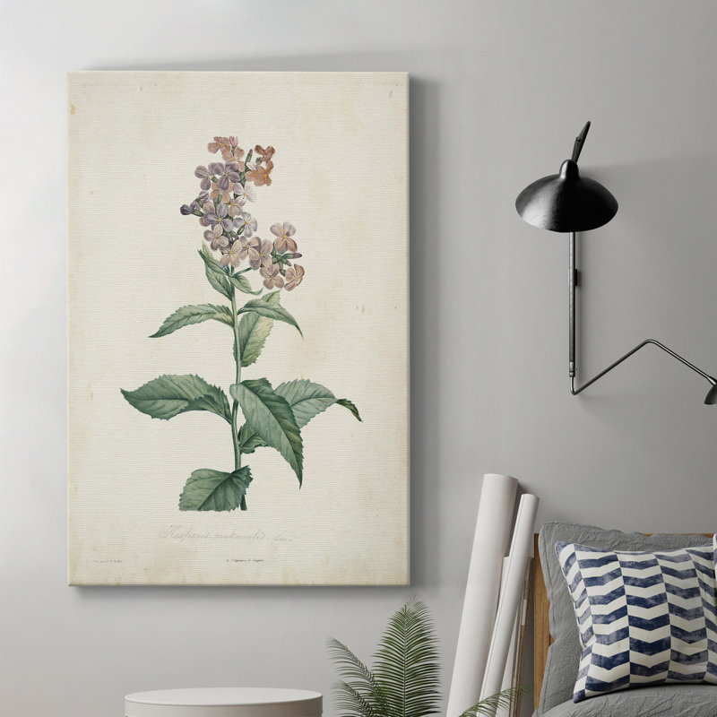 «Traditional Botanical II», impression sur toile tendue, H 12 po x l 8 po x P 1 po
