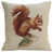 Beige/Brown Red Squirrel