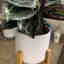 Customer photo 3 of 6