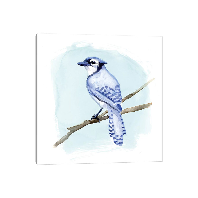 Coastal Blue Jay II by Jacob Green - Wrapped Canvas Painting, 66.04 cm H x 66.04 cm W