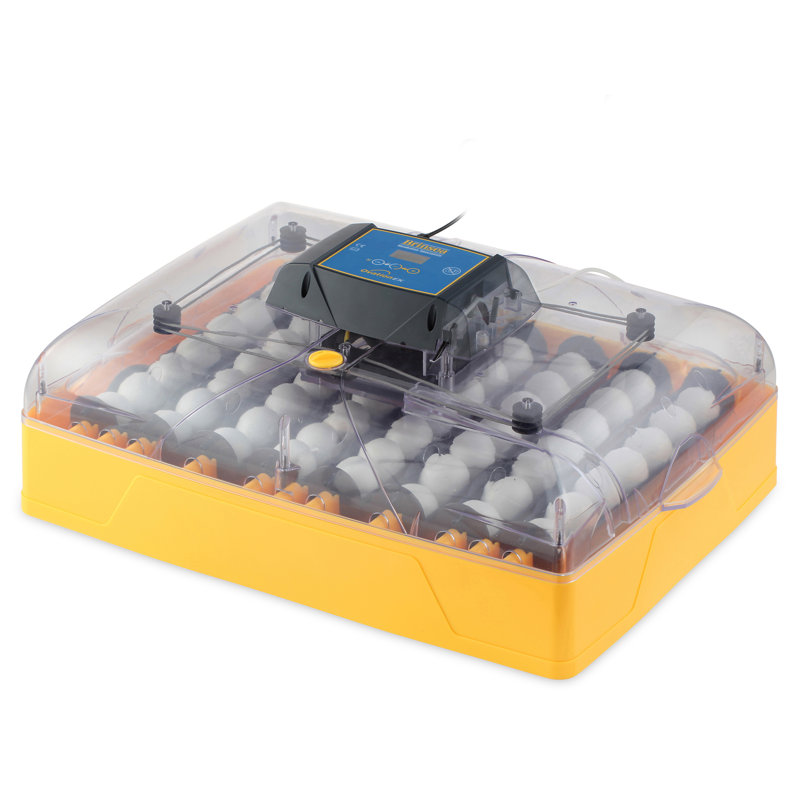 Incubateur à œufs de poule automatique Ovation 56 EX