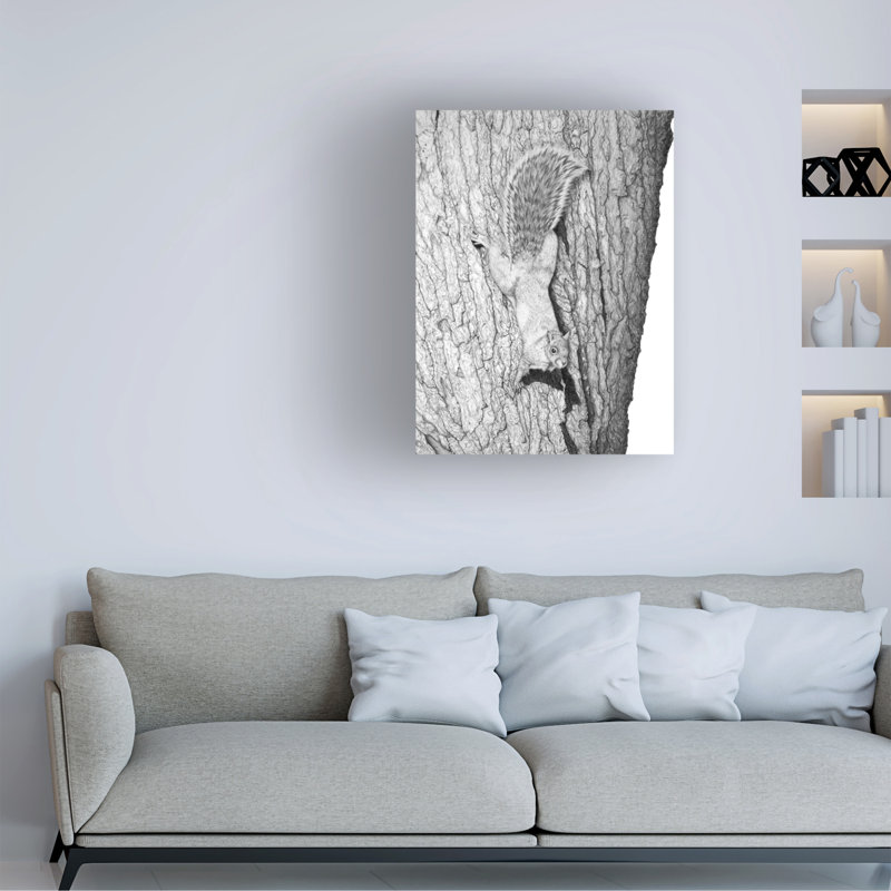 Art sur toile «ologic », H 19 po x l 14 po