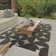 Betrice Geometric Rug