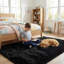 Phyllida Solid Colour Shag Area Rug-550314540