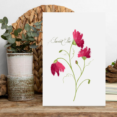 Art floral doux, fleurs de pois doux