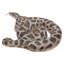 STATUE PYTHON RECOURBÉ