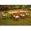 Loehr Outdoor 11 - Piece Teak Dining Set-1829138031-1829138034