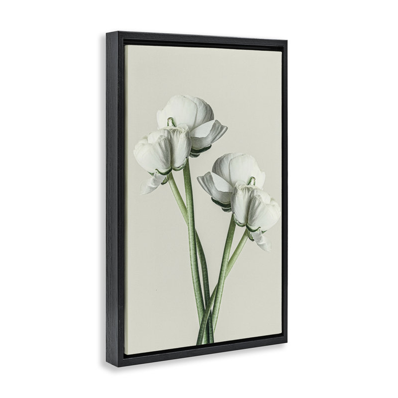 Toile flottante encadrée "White Flower" par Incado, H 25 po x l 17 po, Cadre flottant noir de jais