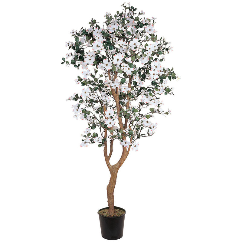  5ft. Dogwood Silk Tree
