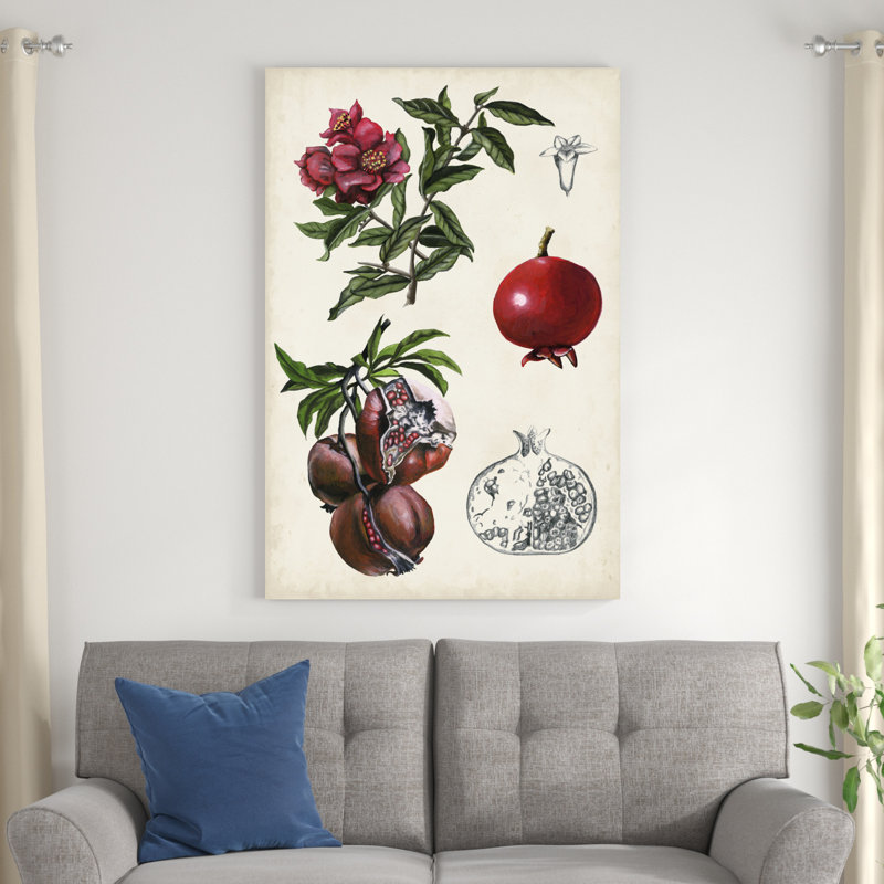 «Pomegranate Composition II» par Naomi McCavitt - peinture sur toile tendue, H 48 po x l 32 po x P 1,25 po