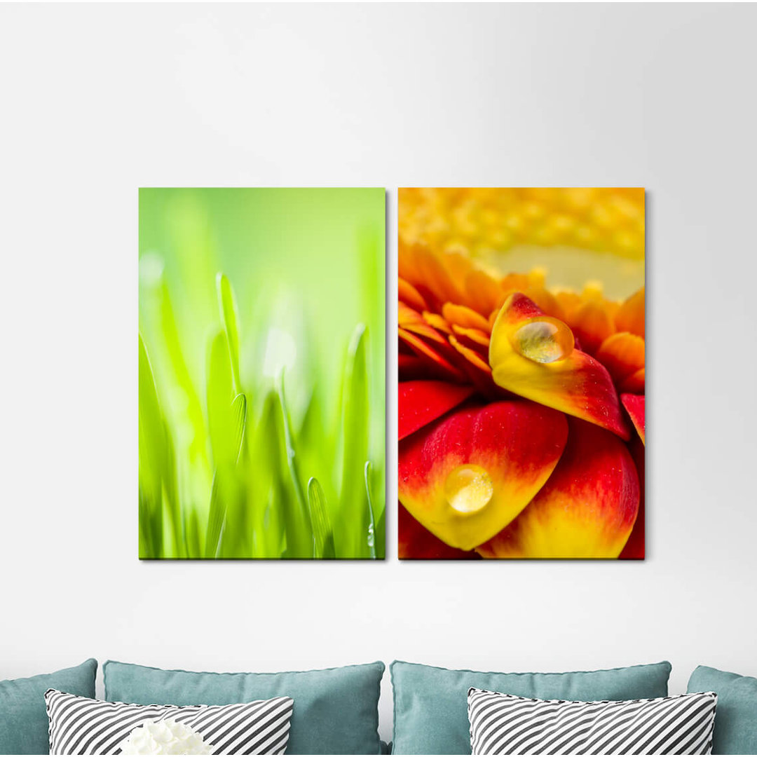 2-tlg. Leinwandbilder-Set - Fotografie „Grass Blades of Grass Dropsgreen Summer Flowers”