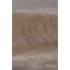 Smart Gem Area Rug in Sand-25306020