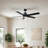 Guderian 52'' Ceiling Fan with LED Lights