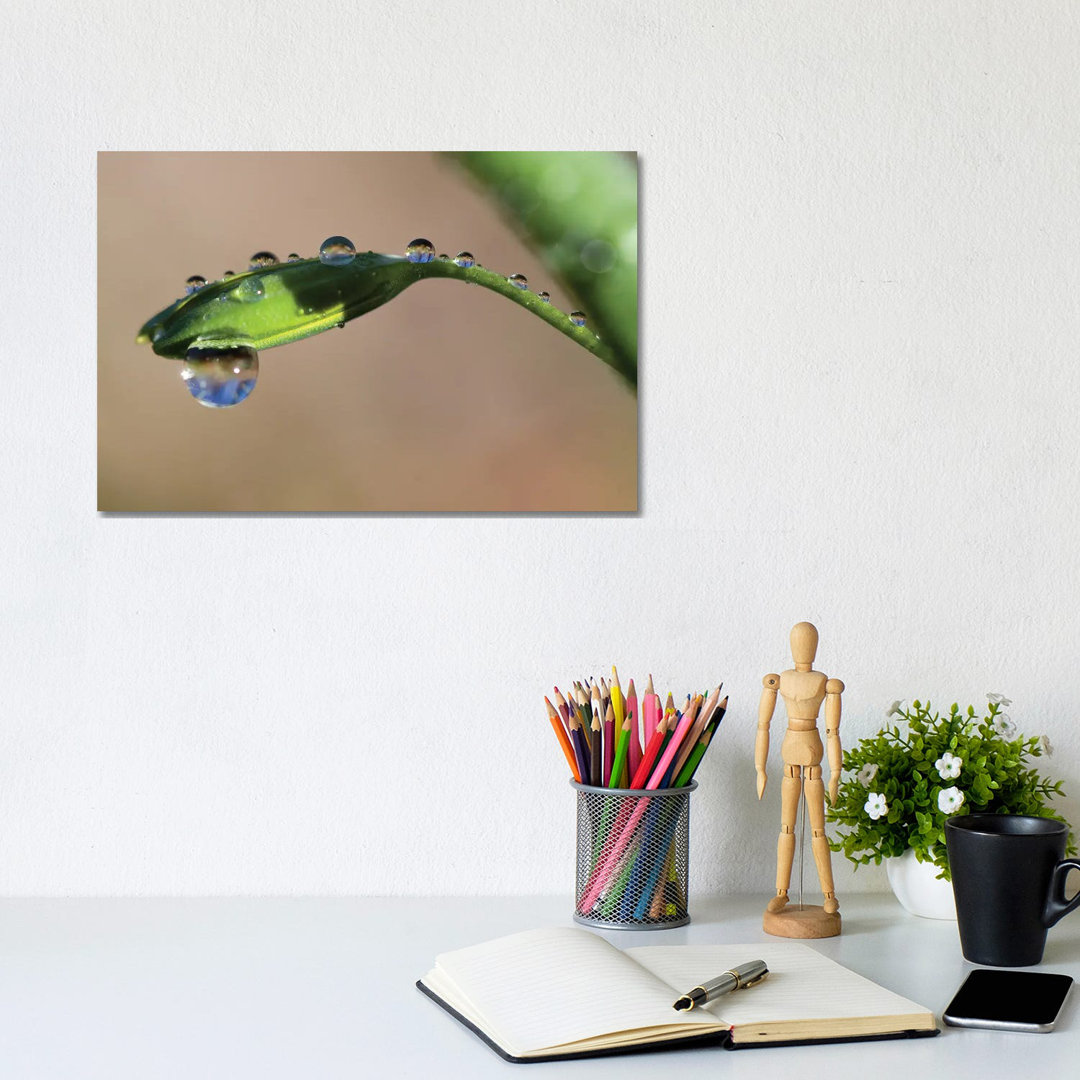 Droplets II by Mateusz Piesiak - Wrapped Canvas Print