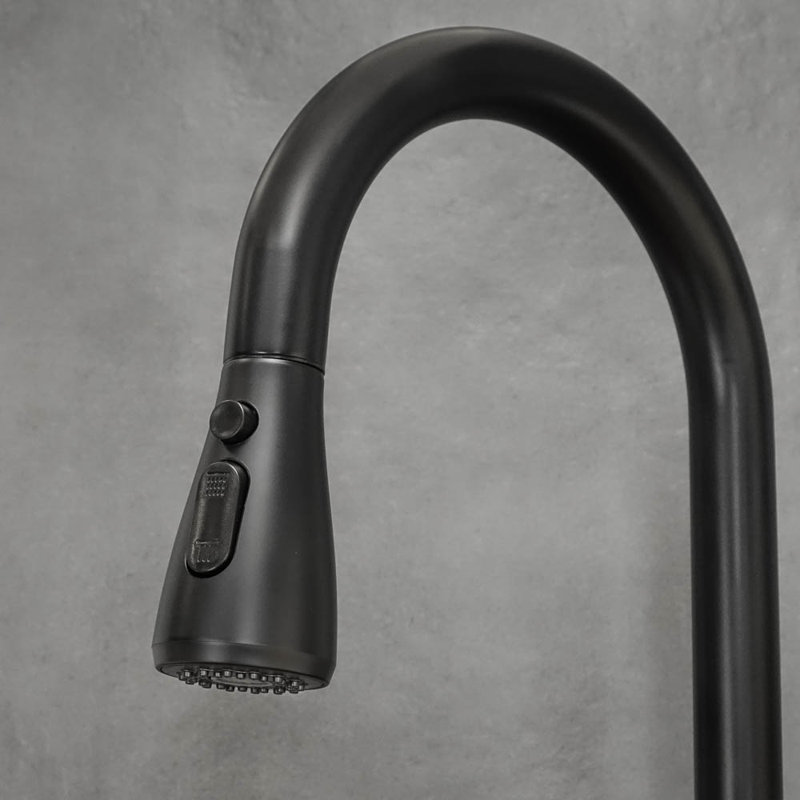Belfry Kitchen Kitchen Faucet, Black