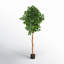 Arbre ficus artificiel en pot-521621000