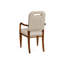 Camden Upholstered Arm Chair-23515766