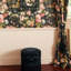 Midnight Garden 9.84' L x 70.87" W Wallpaper Roll