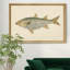 «Donovan Antique Fish IV», impression sur toile encadrée-769144030-769144031