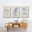 Blue Marine Algae I - Ensemble de 3 reproductions encadrées sur toile-91886835-91886842
