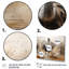 Autruches d'Afrique, impression sur toile-1518740731-1518740732