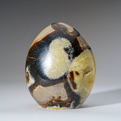 Polished Septarian Freeform From Madagascar (2 Lbs)