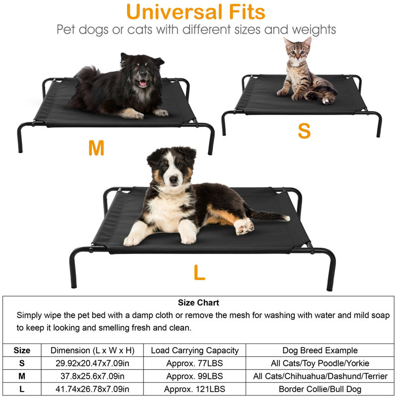 Lit surélevé pour animal de compagnie, H 7,09 po x l 37,8 po x P 25,6 po