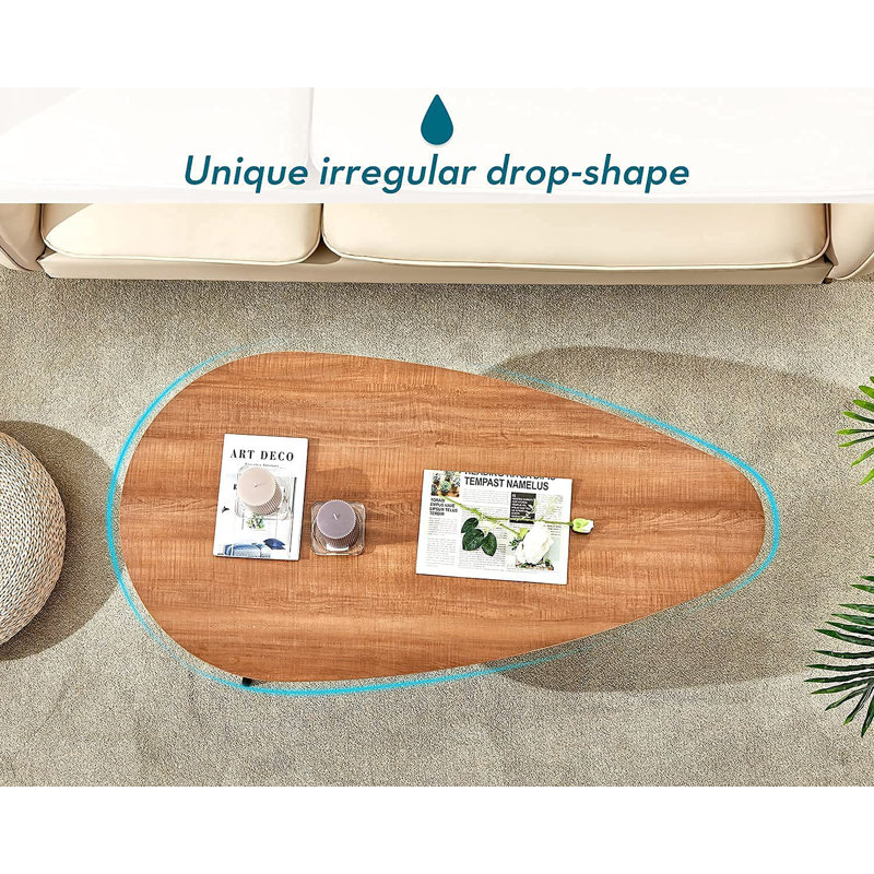 Walnut Oak Oval Coffee Table with Black Metal Legs