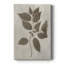 Arbor Speciment II - impression sur toile tendue-298053723