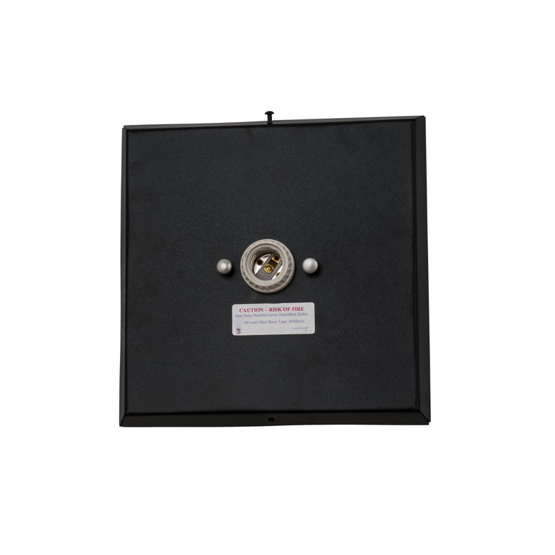 Lone Wolf 1 - Light Flush Mounted Sconce