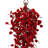 Plum Blossom Arrangement