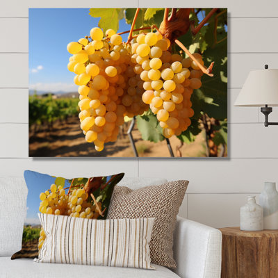 Golden Grapes Vineyard I, reproduction d'art sur toile