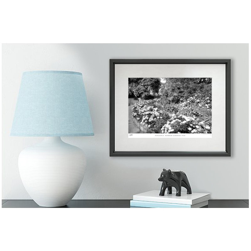 Penzance, Morrab Gardens 1920 - Single Picture Frame Print, 40cm H x 50cm W x 2.3cm D