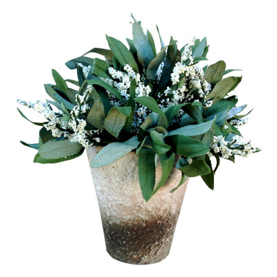 Lavender Arrangement in Pot