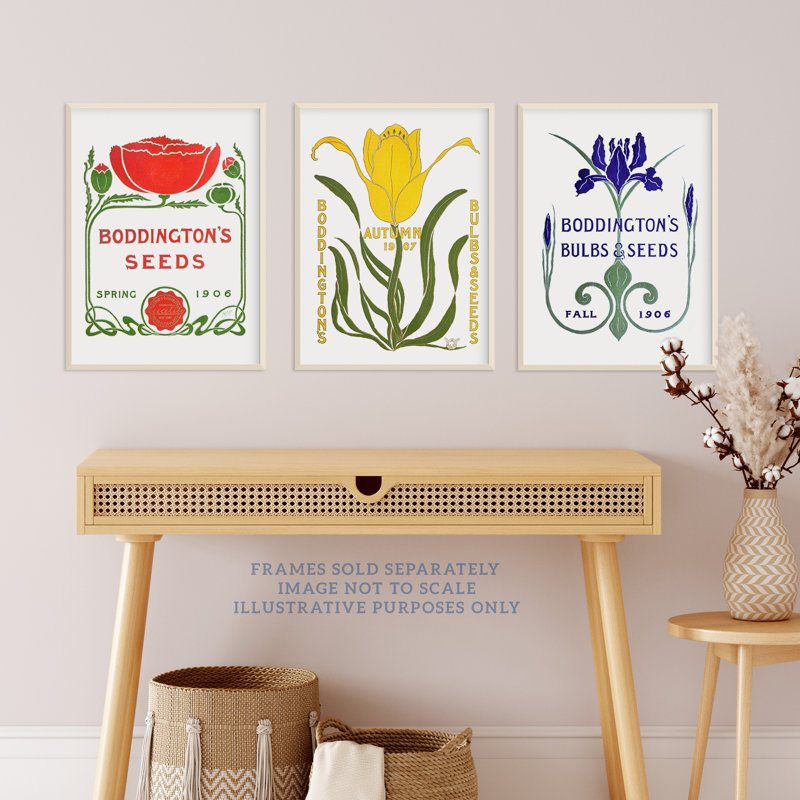 Boddington Bulbs Seeds 1906 Yellow Red Blue Vintage Ad - 3 Piece No Frame Print Set, 40.5cm H x 30.5cm W x 0.3cm D