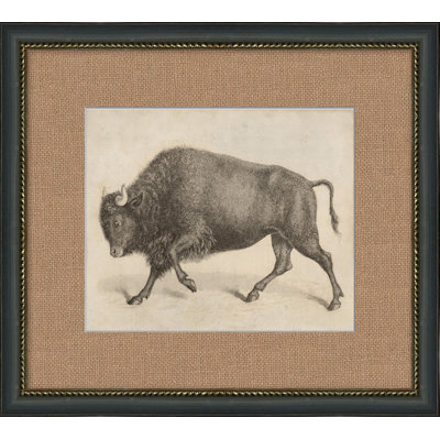 Antique Bull Painting