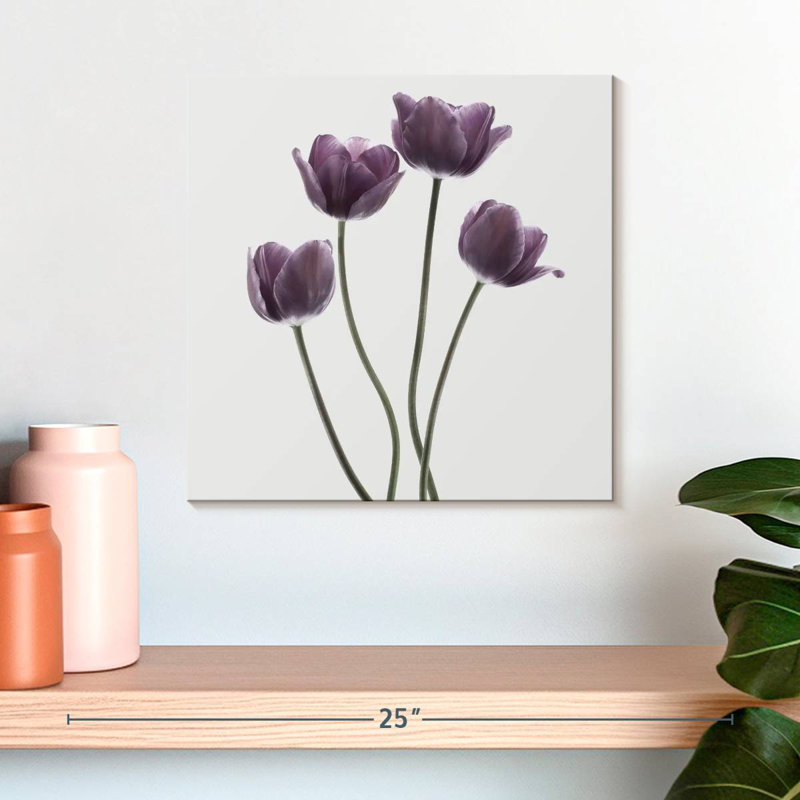 Harnek tulipes mauves, H 16 po x l 16 po