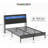 Queen Bed Frame With Multi-Space Storage