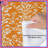 Orange Damask Pattern Comforter-130505218