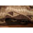 Brown Wool Kilim Oriental Area Rug 3x5
