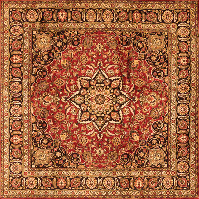 Oriental Indoor Rug