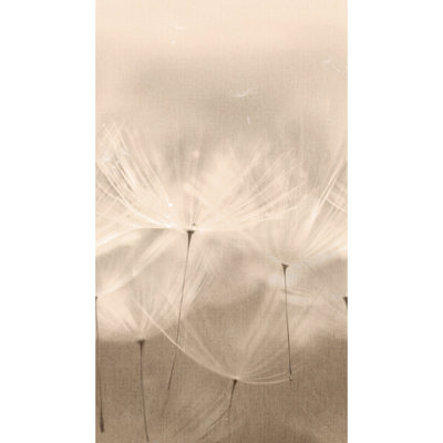 Orom II Collection Dandelion 62.5-inches wide x 9.18-feet high 3-panel Wall Mural