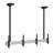 Black Tilt Multi Screen Ceiling Mount for Holds up to 110 lbs