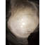 Lodes Volum 42 Suspension Lamp Line-V